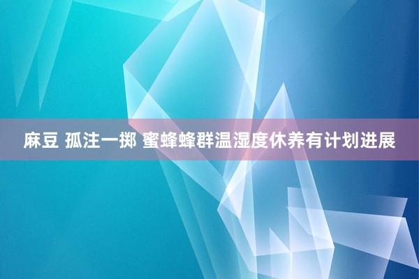 麻豆 孤注一掷 蜜蜂蜂群温湿度休养有计划进展
