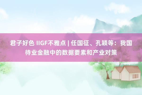 君子好色 IIGF不雅点 | 任国征、孔颖等：我国待业金融中的数据要素和产业对策