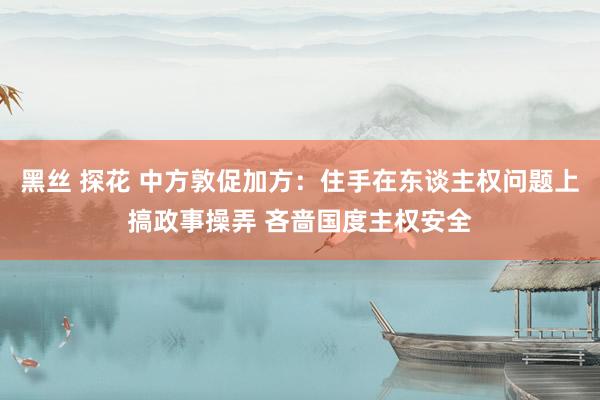 黑丝 探花 中方敦促加方：住手在东谈主权问题上搞政事操弄 吝啬国度主权安全